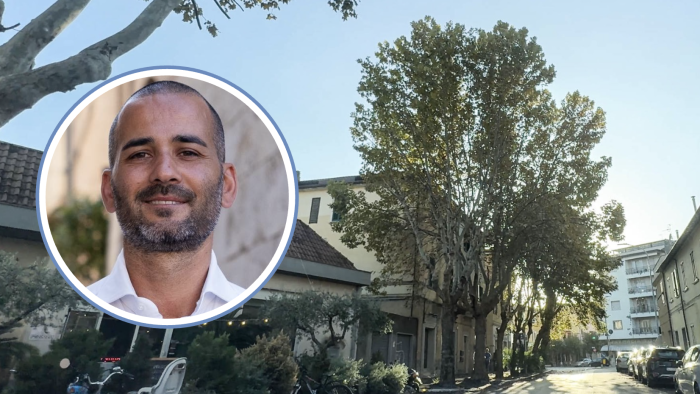 Taglio dei 215 alberi in città, Minucci: "Piante malridotte, sacrificio necessario"