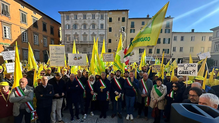 Peste suina dai cinghiali, è allarme anche in Maremma: a rischio 600 allevamenti, Coldiretti in piazza