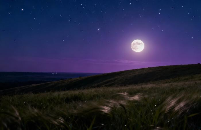 Oroscopo di oggi martedì 11 novembre 2025: la Luna in Leone accende il cuore e la creatività