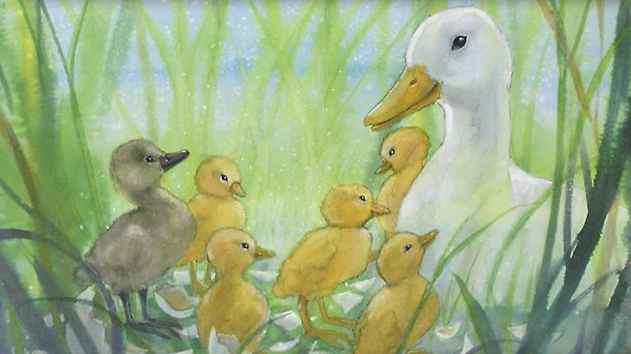 "Il brutto anatroccolo"