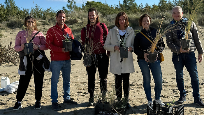 La duna diventa un'aula a cielo aperto: gli studenti piantano nuove specie vegetali