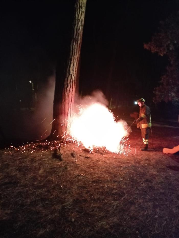 Incendi in serie nel cuore della pineta