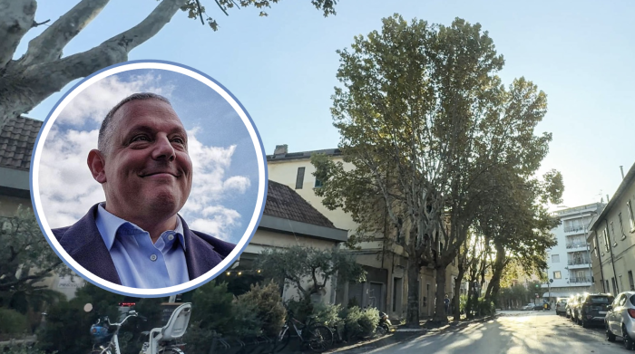 "Nessun massacro degli alberi: perizie tecniche ufficiali e segnalazioni dei cittadini"