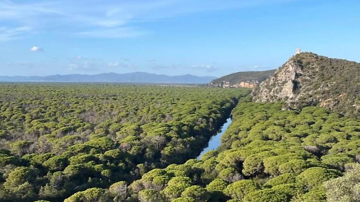 Il parco naturale della Maremma