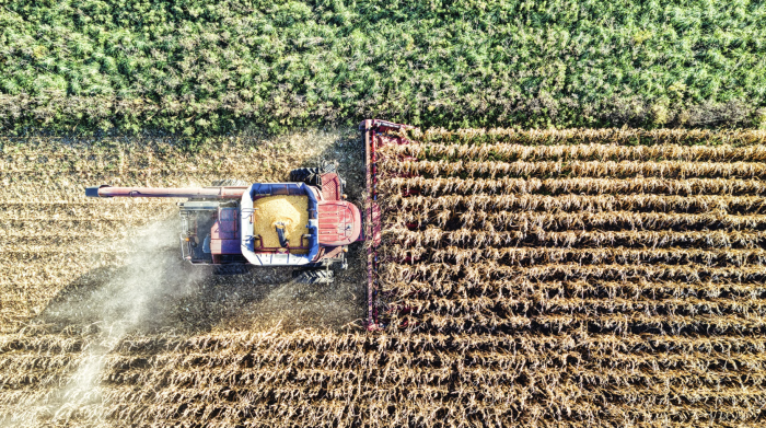 Gli agricoltori maremmani scendono in piazza a Bruxelles: "Battaglia contro la riforma della Pac"