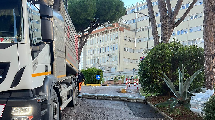 Invasione di guano, pulizie straordinarie all'ospedale: "Situazione critica"