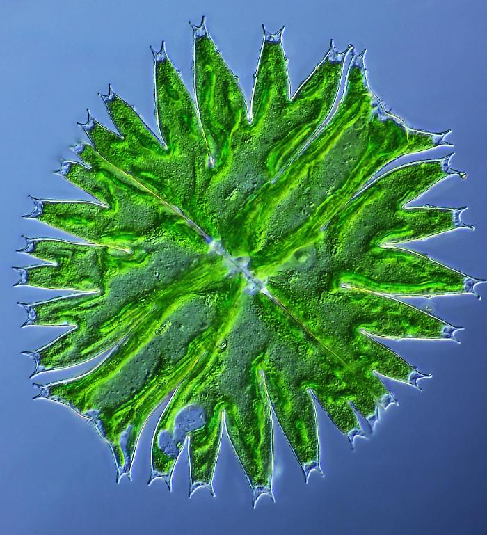 Una foto di Franco Cheli