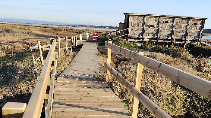 Il ponte nella Diaccia Botrona