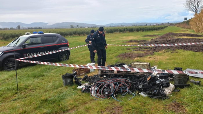 Rifiuti in area boschiva