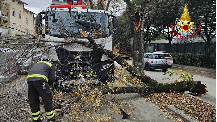 Grosso ramo cade sul parabrezza di un camion dei rifiuti in servizio