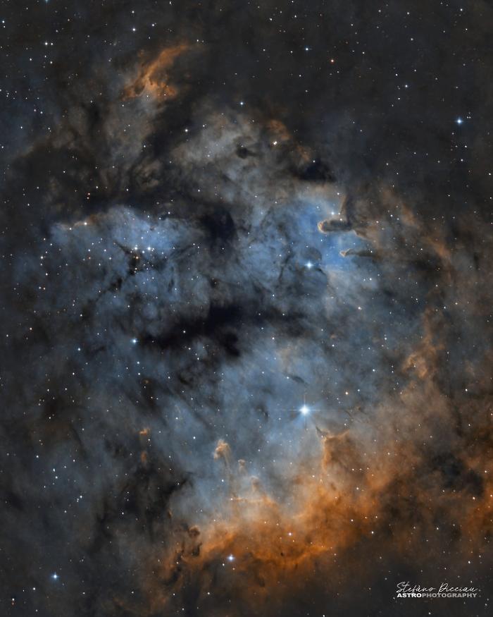 Il cielo del Parco della Maremma &egrave; una &ldquo;riserva di buio&rdquo;: dalla spiaggia di Collelungo si vede la Via Lattea