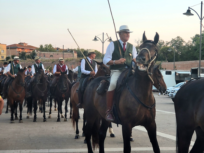 Butteri maremmani a Grosseto