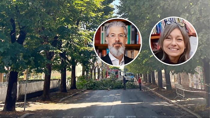 Taglio alberi Grosseto Carlo De Martis e Debora Giomi, di Grosseto Citt&agrave; Aperta