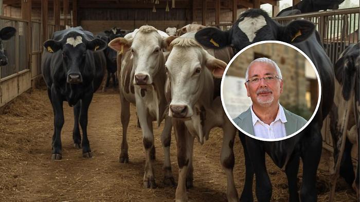 Prevenzione veterinaria Giorgio Briganti, direttore del Dipartimento di prevenzione della Asl Toscana sud est