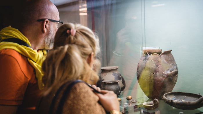 Domenica 1&deg; febbraio musei gratis a Grosseto e provincia: 22 esposizioni, gli orari e gli appuntamenti speciali