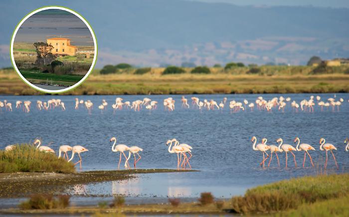Diaccia Botrona, dove l&rsquo;acqua custodisce la Maremma: il Ramsar Day celebra le zone umide