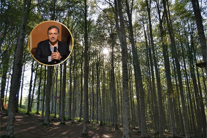 Boschi e foreste  di Grosseto protetti: 1,1 milioni di fondi per la Maremma verde