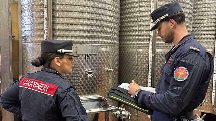 4mila illeciti per oltre 2,6 milioni di euro: i numeri record dei carabinieri forestali in Toscana