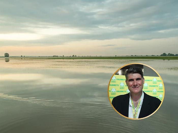 La roulette russa del grano duro: cos&igrave; la Maremma rischia di perdere un&rsquo;altra annata