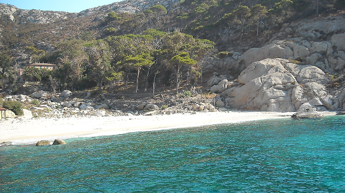 Il sogno proibito del Tirreno: prenotazioni per l'isola di Montecristo al via