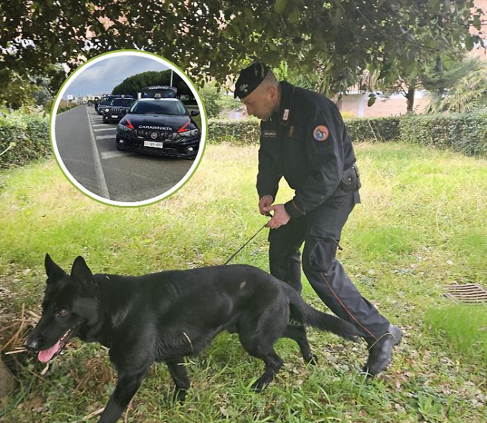 Collare elettrico vietato per controllare il cane: padrone sanzionato dai carabinieri