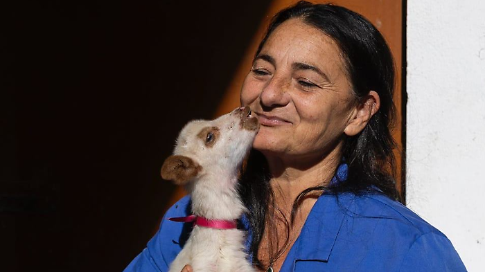 Saba bis: La Maremma ancora al comando dell&rsquo;ovicaprino