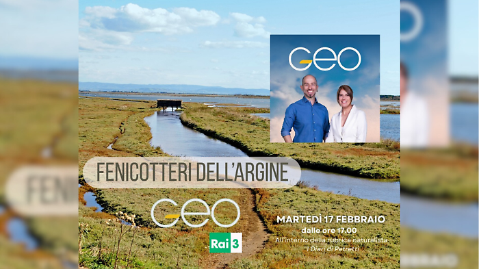 La Diaccia Botrona vola su Geo: fenicotteri protagonisti su Rai 3