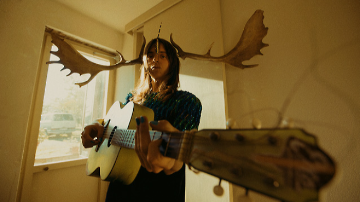 Torna Bestiario musicale: Lucio Corsi ristampa l&rsquo;album-culto della Maremma