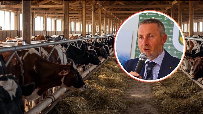 Predatori alle porte della citt&agrave;: attacco notturno a pochi metri dalle abitazioni, Confagricoltura lancia l'allarme