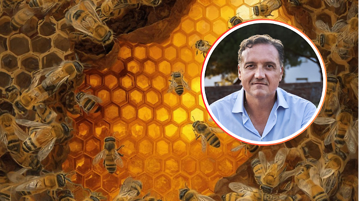 Sos api: zero tregua alla Vespa velutina, 1.300 nidi eliminati