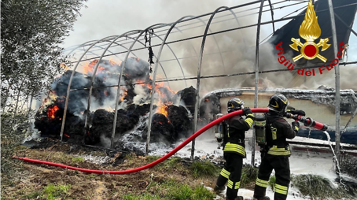 Inferno di fuoco nel rimessaggio: l'intervento dei Vigili del fuoco