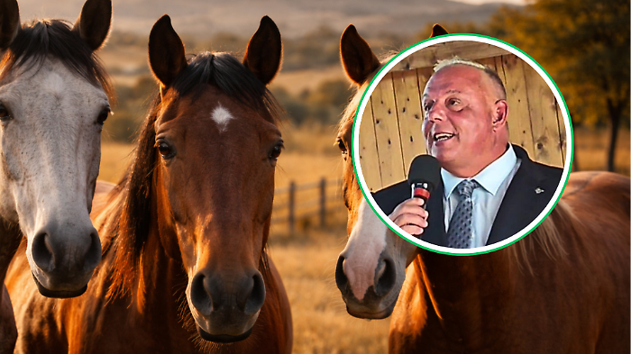 Cavalli, lo stop alla carne divide: &laquo;No a scelte ideologiche che colpiscono imprese e territori&raquo;