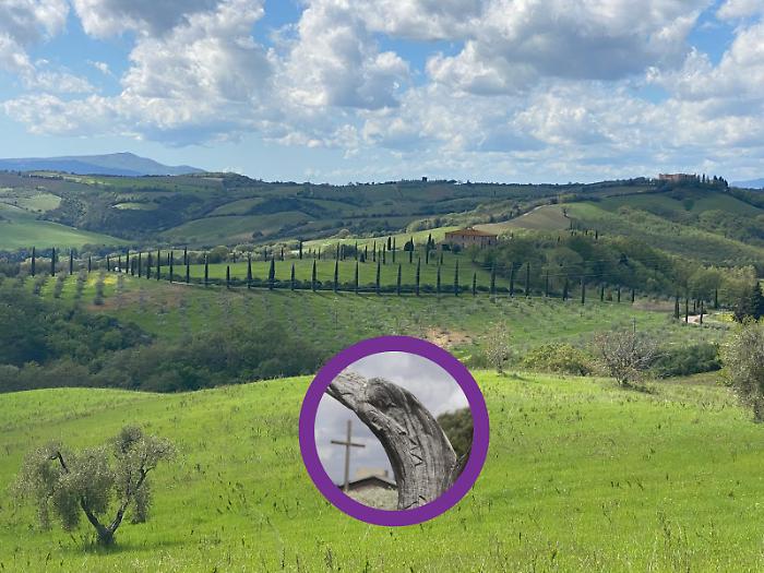 Tra monasteri e borghi medievali: una domenica nel cuore autentico della Maremma con il Fai