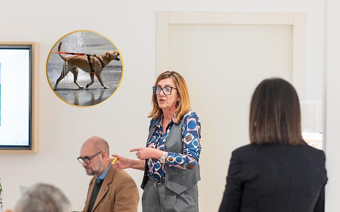 Vacanze con il cane?  Scarlino apre le porte agli amici a quattro zampe