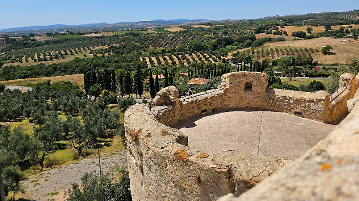 Maremma museo a cielo aperto: il 1&deg; marzo ingressi gratis e trekking fino all'Olivo della strega