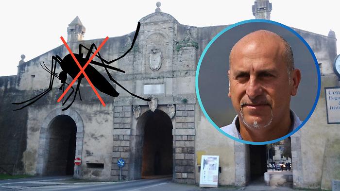 Via al piano contro le zanzare: 60 interventi biologici fino a settembre