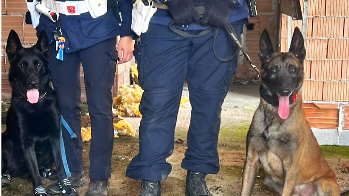 Blitz in un immobile comunale a Grosseto: sequestrata cocaina e 1.350 euro, quattro denunciati