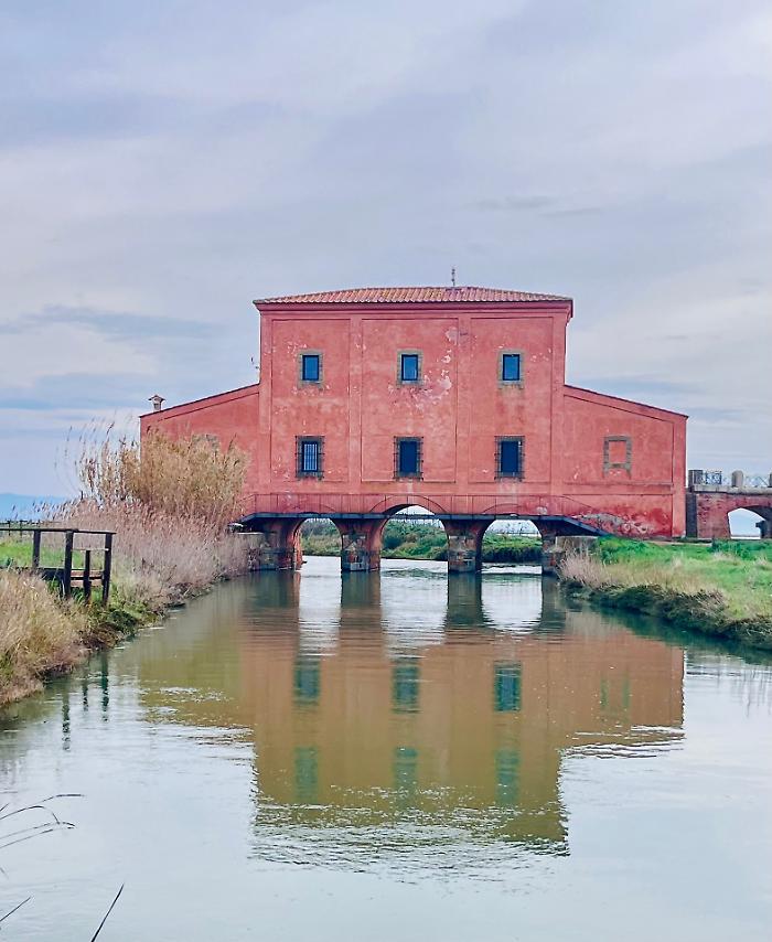 Riapre Casa Rossa Ximenes: il cuore della Diaccia Botrona torna visitabile