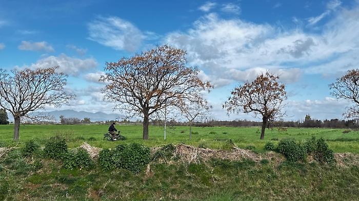 La tregua del maltempo: una settimana senza pioggia a Grosseto (forse)