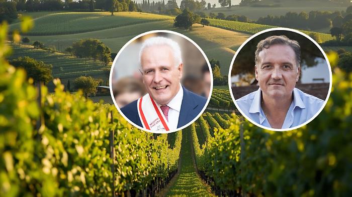 Viticoltura, dalla Regione oltre 6,7 milioni di euro per nuovi investimenti e innovazione: chi pu&ograve; accedere e come funziona