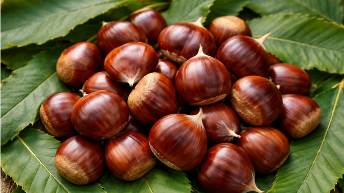 Il Comune rilancia il "pane di montagna", per il salto di qualit&agrave; della castagna