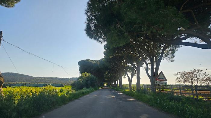 Parco della Maremma le ultime novit&agrave;: chiude (temporaneamente) una strada e cambia l'orario del centro visite