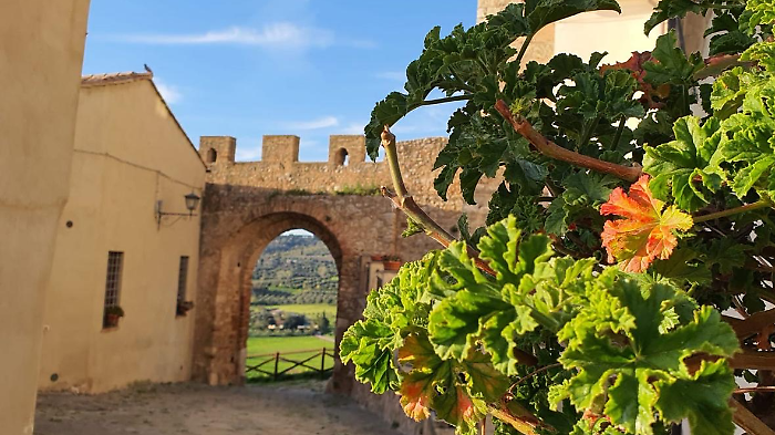 Gara tra balconi e davanzali in paese: : al via Borgo fiorito