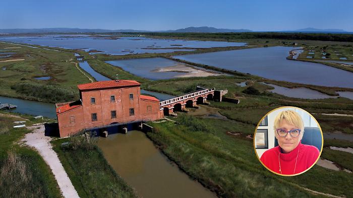 Tutela della Diaccia Botrona e Casa Rossa come porta della natura: il piano strategico di Castiglione della Pescaia