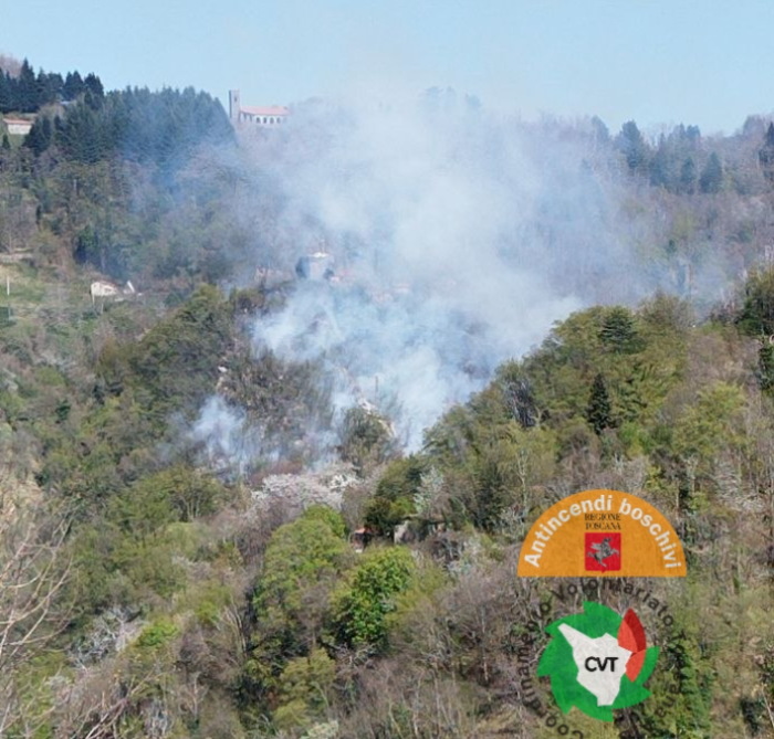 Rogo dell'Argentario, domate le fiamme