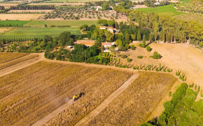 La Maremma piange Franca Spinola, la marchesa-imprenditrice che ha fatto crescere il territorio