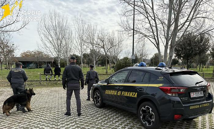 Scacco allo droga a Grosseto: il fiuto del cane Nasty incastra un ventenne