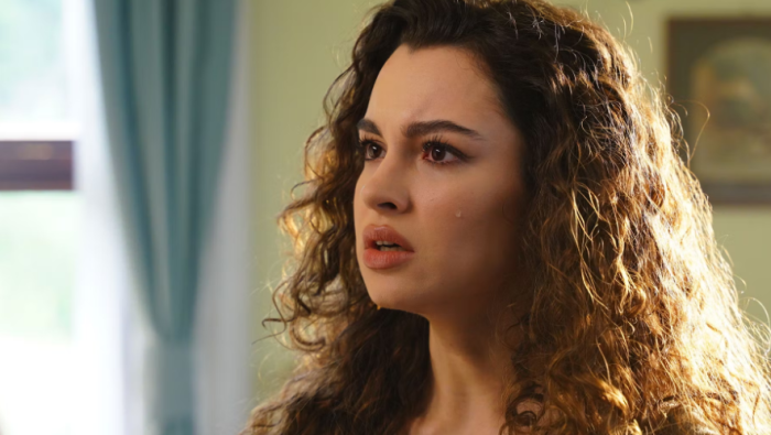 Racconto di una notte, anticipazioni stasera 26 aprile: Canfeza prigioniera nel bosco, Mahir in ansia in ospedale