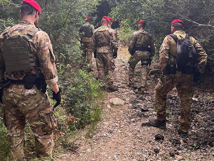 Altro blitz nei boschi della droga: arrestato uno spacciatore straniero, un altro riesce a fuggire