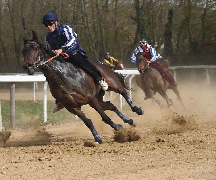 Palio di Siena, Piras: "Nel lotto di luglio metterei Anda e Bola, Zio Frac e anche Tale e Quale"